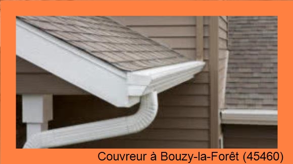 Entreprise de gouttière à Bouzy-la-Forêt (45460)