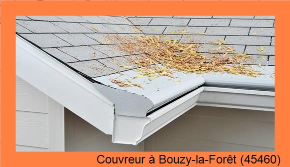 Poseur gouttière à Bouzy-la-Forêt (45460)
