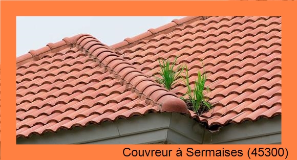 ¨Infiltration d'eau à Sermaises (45300)