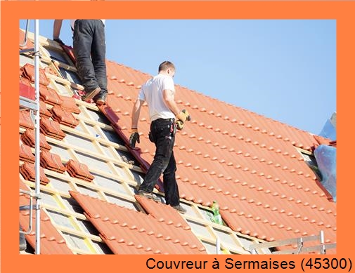 Fuite toiture à Sermaises (45300)
