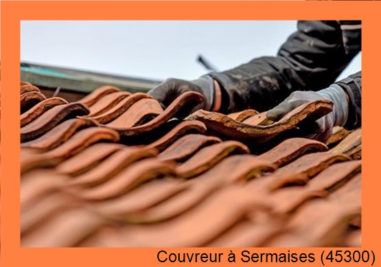 Réparation toiture à Sermaises (45300)